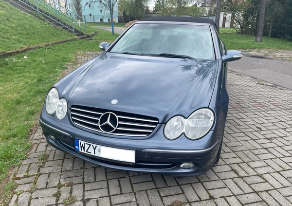 Mercedes-Benz CLK cena 27600 przebieg: 243716, rok produkcji 2004 z Żyrardów małe 352